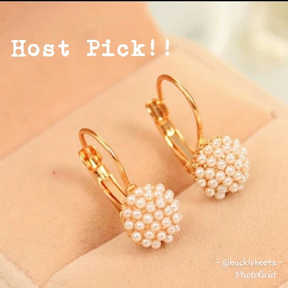 Elegant earrings